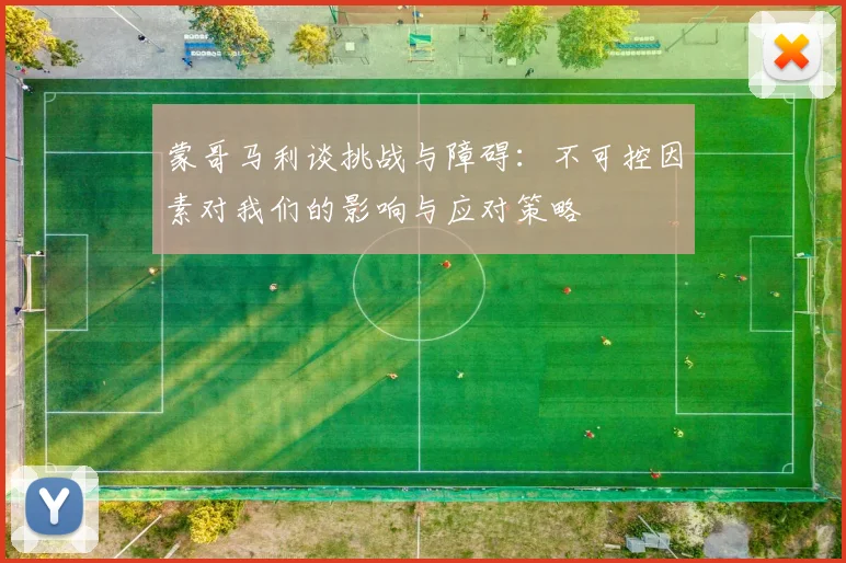 蒙哥马利谈挑战与障碍：不可控因素对我们的影响与应对策略