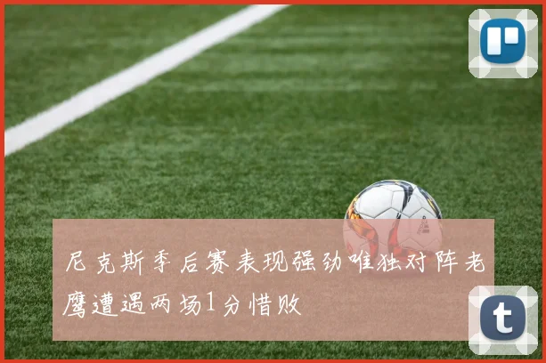 尼克斯季后赛表现强劲唯独对阵老鹰遭遇两场1分惜败